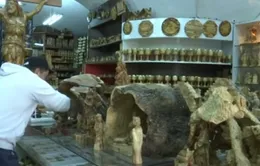 Các cửa hàng Giáng sinh Bethlehem trước thách thức từ hàng nhập khẩu