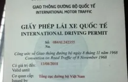 Điểm khác trong việc cấp đổi GPLX quốc tế giữa Hà Nội và TP.HCM