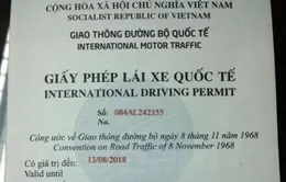 Bắt đầu cấp giấy phép lái xe quốc tế qua mạng