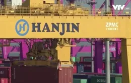 Hàn Quốc cân nhắc bán lại hãng vận tải biển Hanjin