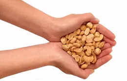 Ăn các loại hạt mỗi ngày giảm nguy cơ ung thư