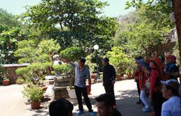 PV điều tra hướng dẫn viên “chui” tại Đà Nẵng: Có một thế lực thao túng môi trường du lịch