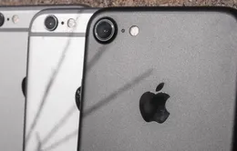 Sử dụng iPhone 7 tại những cơ quan này sẽ khiến bạn mất việc ngay lập tức