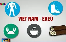 DN Việt làm gì để đón đầu FTA Việt Nam - Liên minh kinh tế Á - Âu?