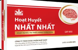 Hoạt huyết Nhất Nhất: Điều trị hiệu quả bệnh mất ngủ, đau đầu, suy giảm trí nhớ