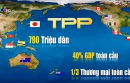 Chính phủ trình Quốc hội phê chuẩn Hiệp định TPP vào tháng 7