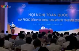 Nợ đọng sau đạt chuẩn nông thôn mới: Hậu quả “bệnh thành tích”