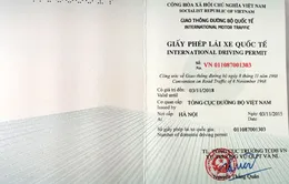 Thu hồi GPLX quốc tế trong 3 năm với người có hành vi gian lận