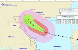 Bão số 7 cách quần đảo Hoàng Sa 190km, mạnh cấp 14