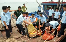 Quảng Ninh: Bắt giữ gần 2 tấn pháo lậu trên tàu gỗ