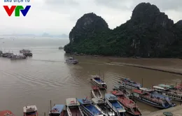 Cháy tàu hạng sang trên đảo Tuần Châu: May mắn vì tàu không cháy khi đang lưu trú trên biển