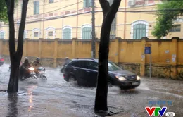 Hà Nội chủ động các biện pháp ứng phó bão Mangkhut