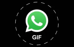 WhatsApp sẽ sớm hỗ trợ đính kèm ảnh GIF khi chat