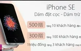 Nhiều cửa hàng bắt đầu nhận đặt mua iPhone SE