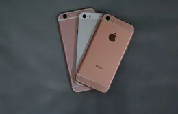 iPhone SE xuất hiện tràn lan tại thị trường Trung Quốc?