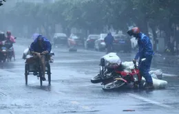 Hong Kong (Trung Quốc) ngưng trệ mọi hoạt động vì siêu bão Nida