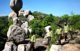 Ninh Thuận: Cán bộ vườn quốc gia Núi Chúa bị đâm chết trong lúc làm nhiệm vụ