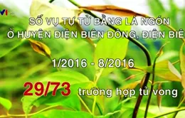 Số vụ tự tử bằng lá ngón tăng đột biến tại Điện Biên