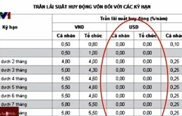 Lách trần lãi suất USD 0% gây "méo mó" thị trường tiền tệ