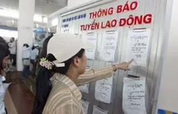 Nhu cầu tuyển dụng lao động tăng cao ở hai thành phố lớn