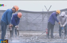 Thanh tra xây dựng quận Ba Đình: Vẫn phá dỡ tòa nhà 8B Lê Trực