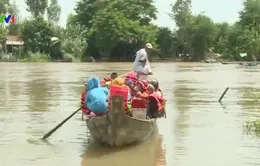 An Giang: Đảm bảo an toàn cho học sinh vùng lũ biên giới