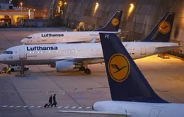 Lufthansa kêu gọi phi công nối lại đàm phán