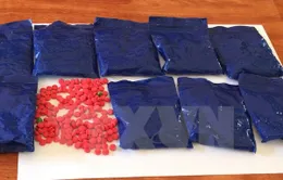 Gia tăng tình trạng nghiện ma túy tổng hợp