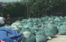 Tiêu hủy 20 tấn măng không đảm bảo an toàn thực phẩm