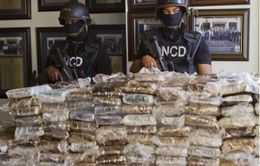 Cảnh sát Bolivia thu giữ gần 8 tấn cocaine