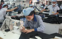 Bộ Công Thương bỏ quy định kiểm tra formaldehyt cho hàng dệt may