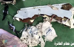 Ai Cập bắt đầu xử lý dữ liệu hộp đen của máy bay MS804
