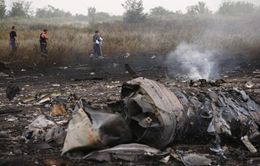 Bắt nghi phạm mưu sát điều tra viên vụ MH17