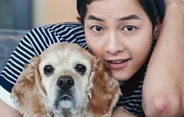 Song Joong Ki giảm cân kịch liệt vì phim mới