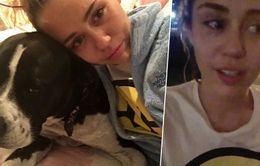 Miley Cyrus khóc như mưa khi Donald Trump đắc cử Tổng thống