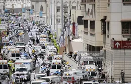 Lễ hành hương Hajj: Khi giấc mơ biến thành ác mộng