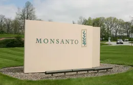 Monsanto sáp nhập Bayer: Tạo tiền lệ độc quyền hoá chất nông nghiệp.