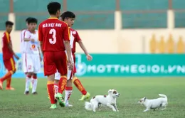 Chú chó làm loạn giải U19 QG - hình ảnh thể thao ấn tượng nhất tuần