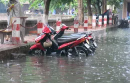 Đồng Tháp: Khu dân cư 500 căn bị ngập nặng sau cơn mưa