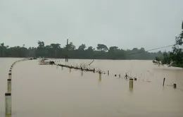 Mưa lớn, rốn lũ Hương Khê lại ngập lụt nhiều nơi