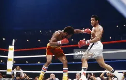 Sự nghiệp quyền Anh của Muhammad Ali