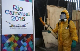 Ban tổ chức Olympic Rio 2016 bác bỏ lo ngại về virus Zika