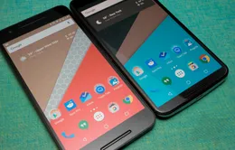 Google trình làng bản cập nhật bảo mật cho Pixel và dòng máy Nexus