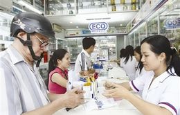 Nhân sự ngành dược và viễn thông lên ngôi năm 2016