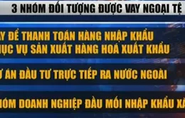 Siết nhu cầu vay ngoại tệ giúp ổn định thị trường ngoại hối