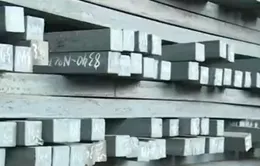 Nhập khẩu phôi thép tăng đột biến