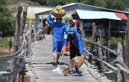 Cuộc đua kỳ thú 2016: Các tay đua lóng ngóng thử đủ mọi chiêu để chăn vịt