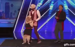 Những khoảnh khắc cười "té ghế" của MC America's Got Talent