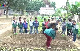Lào Cai: Xuất hiện mô hình trường học nông trại