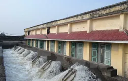 Nước được đưa về hệ thống thủy nông đầu mối đúng kế hoạch